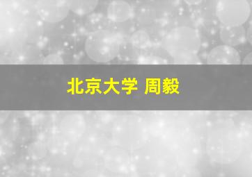 北京大学 周毅